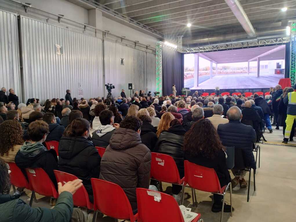 Platea